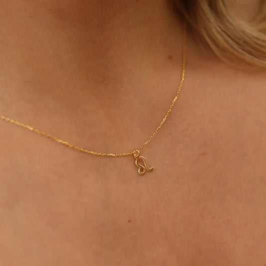 Leo Horoscope Gold Necklace, 14K Gold