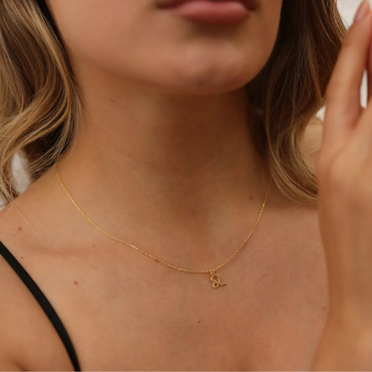 Leo Horoscope Gold Necklace, 14K Gold